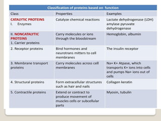 Protein, Classification of protein , properties of protein and ...