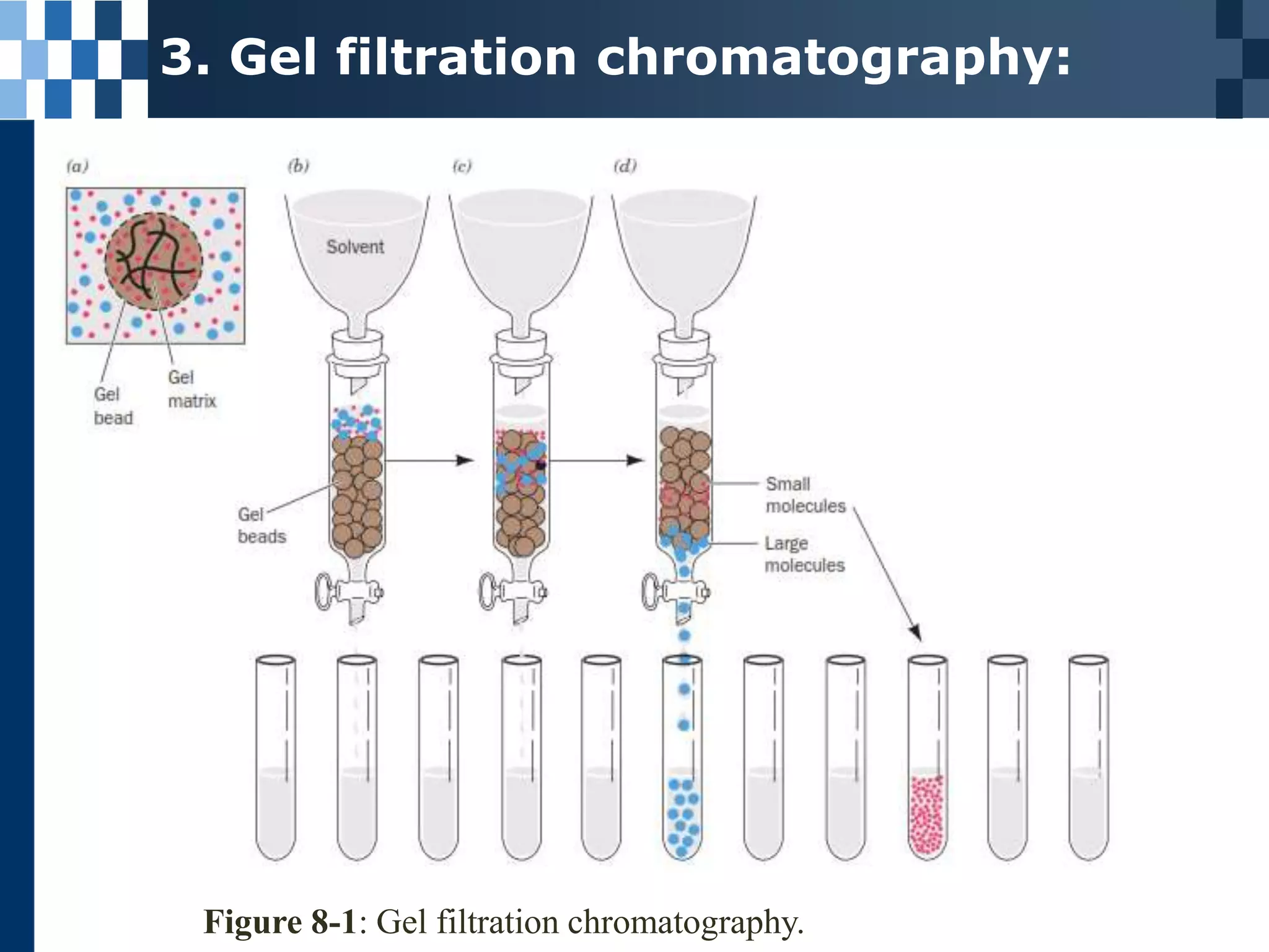 Protein separation methods | PPT