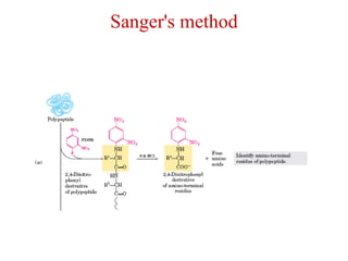 Protein seqencing by kk sahu | PPTX