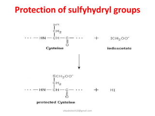 Sulfhydryl Example Protein sequencing | PPTX
