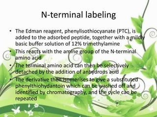 N-terminal labeling
• The Edman reagent, phenylisothiocyanate (PTC), is
added to the adsorbed peptide, together with a mildly
basic buffer solution of 12% trimethylamine
• This reacts with the amine group of the N-terminal
amino acid
• The terminal amino acid can then be selectively
detached by the addition of anhydrous acid
• The derivative then isomerises to give a substituted
phenylthiohydantoin which can be washed off and
identified by chromatography, and the cycle can be
repeated
 