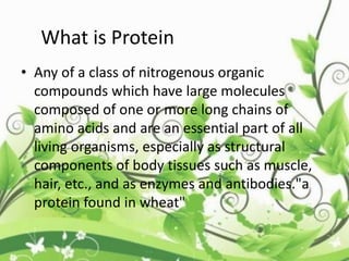 What is Protein
• Any of a class of nitrogenous organic
compounds which have large molecules
composed of one or more long chains of
amino acids and are an essential part of all
living organisms, especially as structural
components of body tissues such as muscle,
hair, etc., and as enzymes and antibodies."a
protein found in wheat"
 
