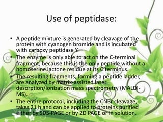• A peptide mixture is generated by cleavage of the
protein with cyanogen bromide and is incubated
with carboxy peptidase Y.
• The enzyme is only able to act on the C-terminal
fragment, because this is the only peptide without a
homoserine lactone residue at its C terminus.
• The resulting fragments, forming a peptide ladder,
are analyzed by matrix-assisted laser
desorption/ionization mass spectrometry (MALDI-
MS).
• The entire protocol, including the CNBr cleavage,
takes 21 h and can be applied to proteins purified
either by SDS-PAGE or by 2D PAGE or in solution.
Use of peptidase:
 