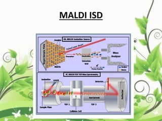 MALDI ISD
 