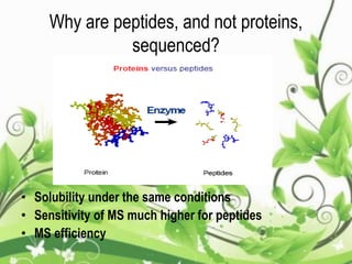 Why are peptides, and not proteins,
sequenced?
• Solubility under the same conditions
• Sensitivity of MS much higher for peptides
• MS efficiency
 