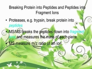 Breaking Protein into Peptides and Peptides into
Fragment Ions
• Proteases, e.g. trypsin, break protein into
peptides
• MS/MS breaks the peptides down into fragment
ions and measures the mass of each piece
• MS measure m/z ratio of an ion
 