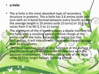 • α Helix
• The α helix is the most abundant type of secondary
structure in proteins. The α helix has 3.6 amino acids per
turn with an H bond formed between every fourth residue;
the average length is 10 amino acids (3 turns) or 10 Å but
varies from 5 to 40 (1.5 to 11 turns).
• The alignment of the H bonds creates a dipole moment for
the helix with a resulting partial positive charge at the
amino end of the helix. Because this region has free
NH2 groups, it will interact with negatively charged groups
such as phosphates.
• The most common location of α helices is at the surface of
protein cores, where they provide an interface with the
aqueous environment. The inner-facing side of the helix
tends to have longer helices, forming a bend.
 