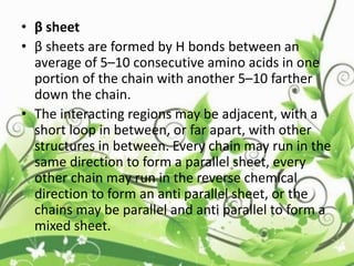 • β sheet
• β sheets are formed by H bonds between an
average of 5–10 consecutive amino acids in one
portion of the chain with another 5–10 farther
down the chain.
• The interacting regions may be adjacent, with a
short loop in between, or far apart, with other
structures in between. Every chain may run in the
same direction to form a parallel sheet, every
other chain may run in the reverse chemical
direction to form an anti parallel sheet, or the
chains may be parallel and anti parallel to form a
mixed sheet.
 