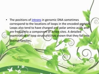 • The positions of introns in genomic DNA sometimes
correspond to the locations of loops in the encoded protein[.
Loops also tend to have charged and polar amino acids and
are frequently a component of active sites. A detailed
examination of loop structures has shown that they fall into
distinct families.
 