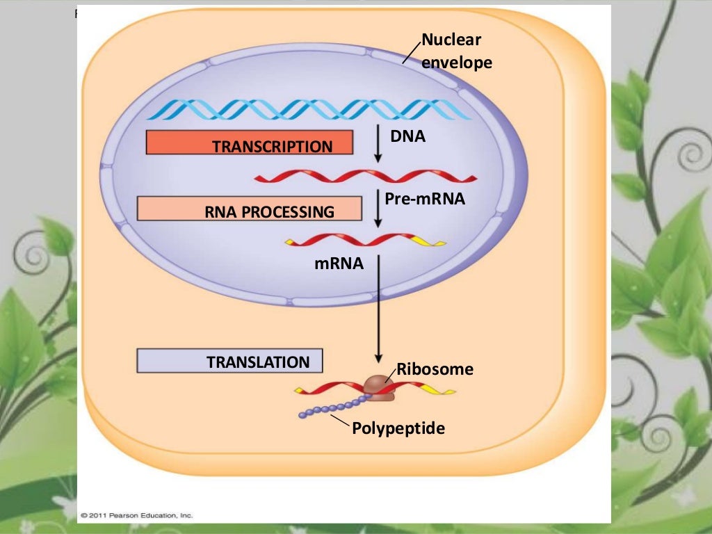 Protein sequencing