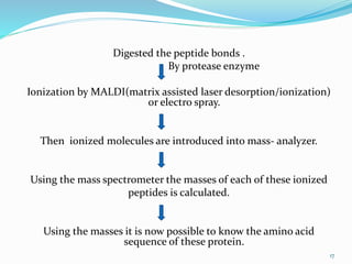 17
Digested the peptide bonds .
By protease enzyme
Ionization by MALDI(matrix assisted laser desorption/ionization)
or electro spray.
Then ionized molecules are introduced into mass- analyzer.
Using the mass spectrometer the masses of each of these ionized
peptides is calculated.
Using the masses it is now possible to know the amino acid
sequence of these protein.
 