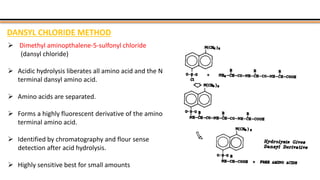 DANSYL CHLORIDE METHOD
 Dimethyl aminopthalene-5-sulfonyl chloride
(dansyl chloride)
 Acidic hydrolysis liberates all amino acid and the N
terminal dansyl amino acid.
 Amino acids are separated.
 Forms a highly fluorescent derivative of the amino
terminal amino acid.
 Identified by chromatography and flour sense
detection after acid hydrolysis.
 Highly sensitive best for small amounts
 