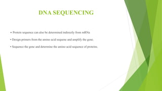 DNA SEQUENCING
• Protein sequence can also be determined indirectly from mRNa
• Design primers from the amino acid sequene and amplify the gene.
• Sequence the gene and determine the amino acid sequence of proteins.
 