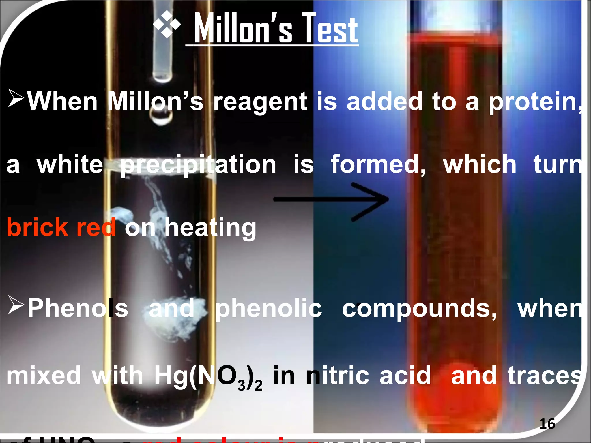  Millon’s Test
When Millon’s reagent is added to a protein,

a white precipitation is formed, which turn

brick red on heating

Phenols and phenolic compounds, when

mixed with Hg(NO3)2 in nitric acid and traces
                                         16
 