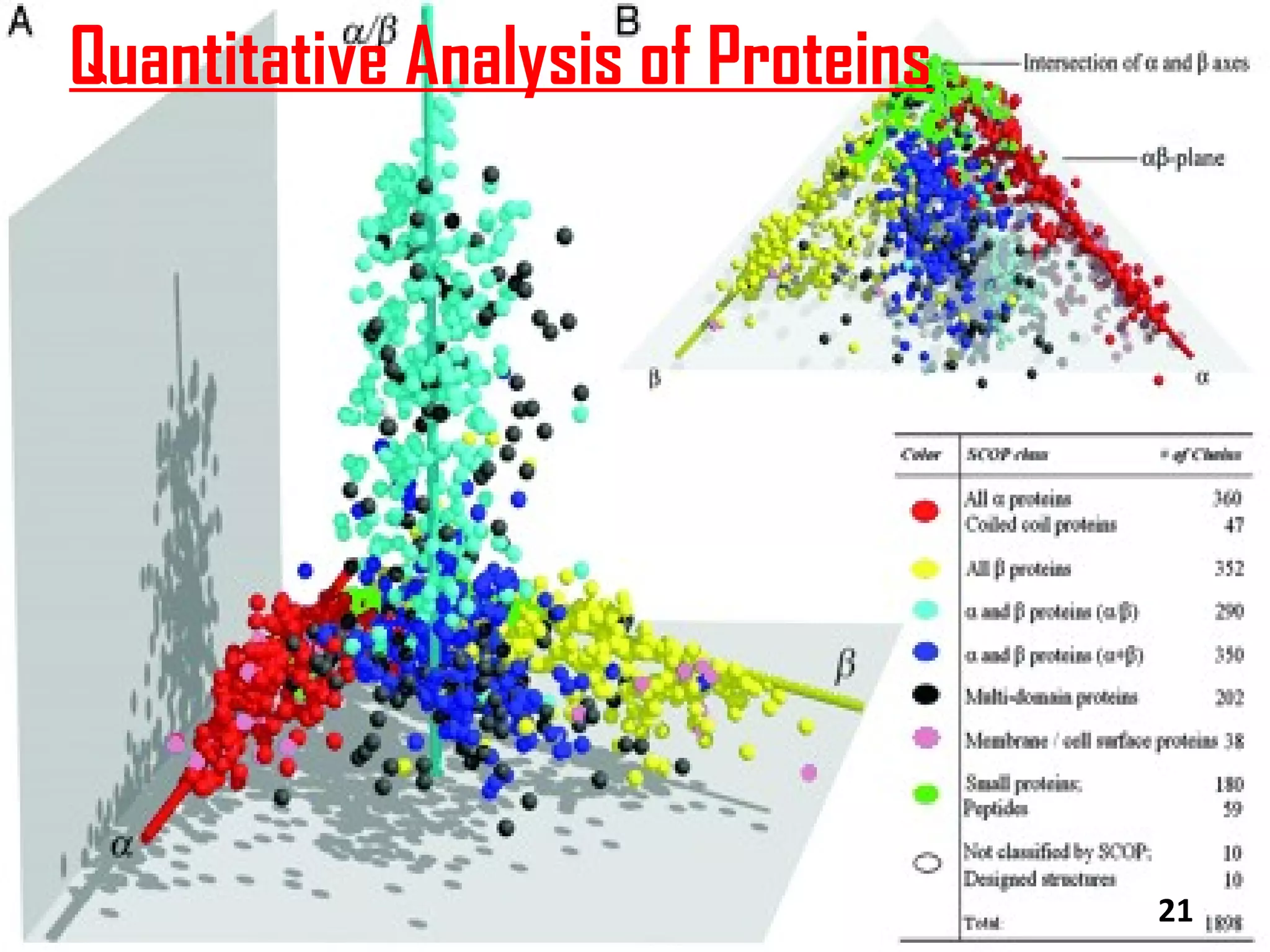Quantitative Analysis of Proteins




                                    21
 