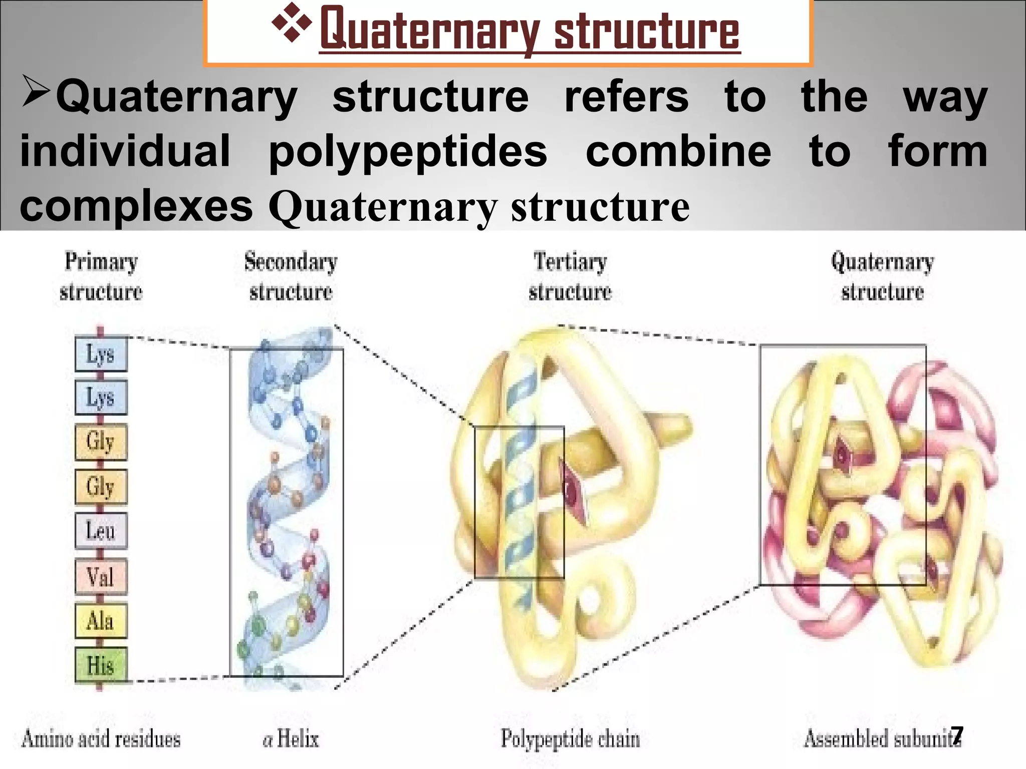 Quaternary structure
Quaternary structure refers to the way
individual polypeptides combine to form
complexes Quaternary structure




                                     7
 