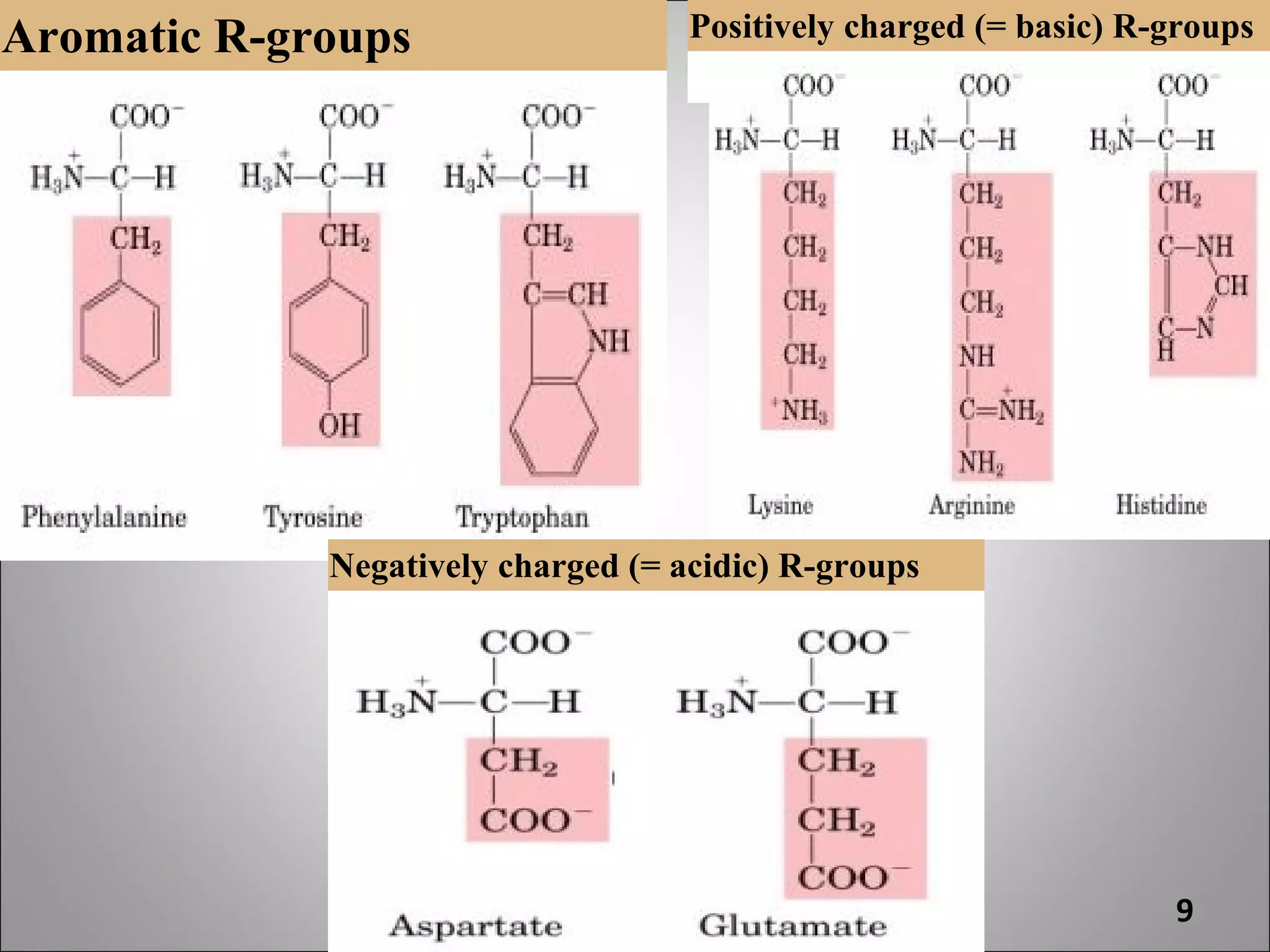 Aromatic R-groups                   Positively charged (= basic) R-groups




             Negatively charged (= acidic) R-groups




                                                                   9
 