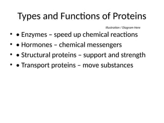 Proteins_General_Biology_Enhanced_Presentation.pptx