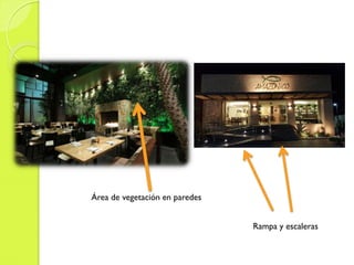 Área de vegetación en paredes
Rampa y escaleras
 