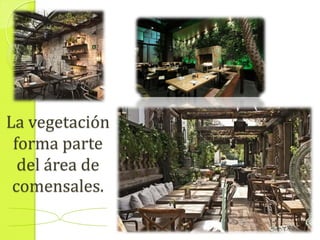 La vegetación
forma parte
del área de
comensales.
 
