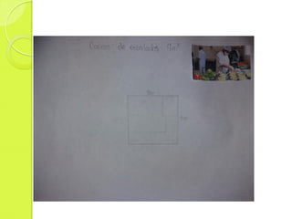 Proteins in the garden