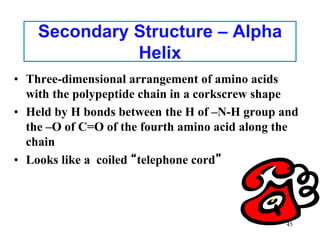 Amino acids, peptides and proteins: Structure and naming of amino acids ...