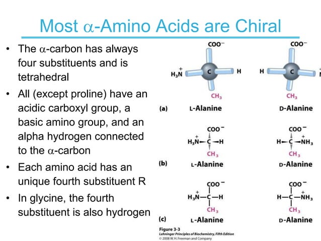 Amino acids, peptides and proteins: Structure and naming of amino acids ...