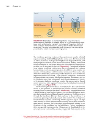 Protein sorting and transport | PDF