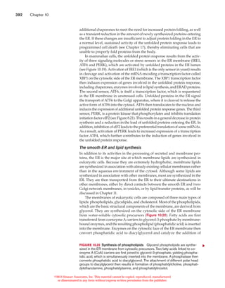 Protein sorting and transport | PDF