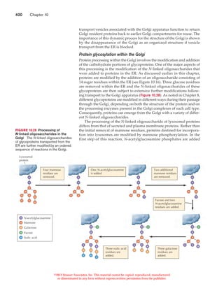 Protein sorting and transport | PDF