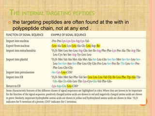 THE INTERNAL TARGETING PEPTIDES
 the targeting peptides are often found at the with in
polypeptide chain, not at any end .
 