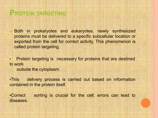 PROTEIN TARGETING
 Both in prokaryotes and eukaryotes, newly synthesized
proteins must be delivered to a specific subcellular location or
exported from the cell for correct activity. This phenomenon is
called protein targeting.
• Protein targeting is necessary for proteins that are destined
to work
outside the cytoplasm.
•This delivery process is carried out based on information
contained in the protein itself.
•Correct sorting is crucial for the cell; errors can lead to
diseases.
 