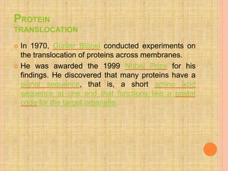 PROTEIN
TRANSLOCATION
 In 1970, Günter Blobel conducted experiments on
the translocation of proteins across membranes.
 He was awarded the 1999 Nobel Prize for his
findings. He discovered that many proteins have a
signal sequence, that is, a short amino acid
sequence at one end that functions like a postal
code for the target organelle.
 