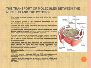 THE TRANSPORT OF MOLECULES BETWEEN THE
NUCLEUS AND THE CYTOSOL
 The nuclear envelope encloses the DNA and defines the nuclear
compartment.
 This envelope consists of two concentric membranes that are
penetrated by nuclear pore complexes.
 The inner and outer nuclear membranes are continuous, they maintain
distinct protein compositions.
 The inner nuclear membrane contains specific proteins that act as
binding sites for chromatin and for the protein meshwork of the nuclear
lamina that provides structural support for this membrane.
 The inner membrane is surrounded by the outer nuclear membrane,
which is continuous with the membrane of the ER. Like the membrane of
the ER the outer nuclear membrane is studded with ribosomes engaged
in protein synthesis .
 The proteins made on these ribosomes are transported into the
space between the inner and outer nuclear membranes (the
perinuclear space), which is continuous with the ER lumen. with
ribosomes engaged in protein synthesis.
 Bidirectional traffic occurs continuously between the cytosol and the
nucleus.
 The many proteins , histones, DNA and RNA polymerases, gene
regulatoryimported into the nuclear compartment from the cytosol,
 proteins, and RNA-processing proteins are selectively tRNAs and
mRNAs are synthesized in the nuclear compartment and then exported to
the cytosol
 