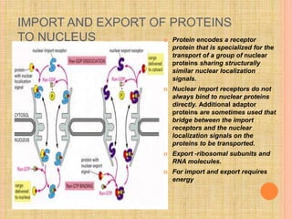 IMPORT AND EXPORT OF PROTEINS
TO NUCLEUS  Protein encodes a receptor
protein that is specialized for the
transport of a group of nuclear
proteins sharing structurally
similar nuclear localization
signals.
 Nuclear import receptors do not
always bind to nuclear proteins
directly. Additional adaptor
proteins are sometimes used that
bridge between the import
receptors and the nuclear
localization signals on the
proteins to be transported.
 Export -ribosomal subunits and
RNA molecules.
 For import and export requires
energy
 