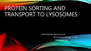 PROTEIN SORTING AND
TRANSPORT TO LYSOSOMES
Submitted by: Rama Jumwal
M.Sc.(biotechnology) 1st sem
MAU20PBT010
 
