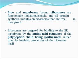 Comprehensive Overview of Endoplasmic Reticulum Structure and Protein ...