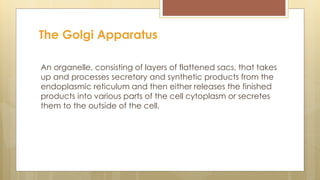 An organelle, consisting of layers of flattened sacs, that takes
up and processes secretory and synthetic products from the
endoplasmic reticulum and then either releases the finished
products into various parts of the cell cytoplasm or secretes
them to the outside of the cell.
The Golgi Apparatus
 