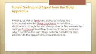 Proteins, as well as lipids and polysaccharides, are
transported from the Golgi apparatus to their final
destinations through the secretory pathway. This involves the
sorting of proteins into different kinds of transport vesicles,
which bud from the trans Golgi network and deliver their
contents to the appropriate cellular locations.
Protein Sorting and Export from the Golgi
Apparatus
 