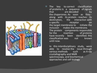 The key to correct classification of proteins is a sequence of signals that are decoded by the chaperones. As soon as they - along with its protein - reaches its destination, the interaction with a specific receptor on the target membrane to initiate the inclusion makes the membrane.  The protein components responsible for the insertion of proteins have recently been identified. this classification was not known until now. In this interdisciplinary study, were able to resolve the issue through various methods such as X-ray crystallography and NMR spectroscopy, and biochemical approaches and cell biology 