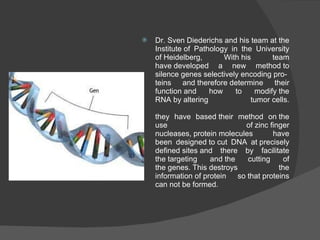 Dr. Sven Diederichs and his team at the Institute of Pathology in the University of Heidelberg, With his team have developed a new method to silence genes selectively encoding pro-teins and therefore determine their function and how to modify the RNA by altering tumor cells. they have based their method on the use of zinc finger nucleases, protein molecules have been designed to cut DNA at precisely defined sites and there by facilitate the targeting and the cutting of the genes. This destroys the information of protein so that proteins can not be formed. 