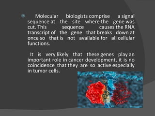 Molecular biologists comprise a signal sequence at the site where the gene was cut. This sequence causes the RNA transcript of the gene that breaks down at once so that is not available for all cellular functions.   It is very likely that these genes play an important role in cancer development, it is no coincidence that they are so active especially in tumor cells. 