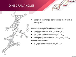 DIHEDRAL ANGLES
• Diagram showing a polypeptide chain with a
side group.
Main chain angle/ Backbone dihedral
• phi (φ) is defines as C’i-1- Ni- C
i-C’i.
• psi (ψ) is defined as Ni- C
i-C’i - Ni+1.
• omega (ω) is defined as C
i-C’i - Ni+1 - C
i+1.
Side chain dihedral:
• ci (χ1) is defined as Ni- C
i-C - O
 