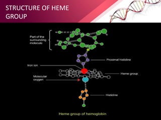 STRUCTURE OF HEME
GROUP
 