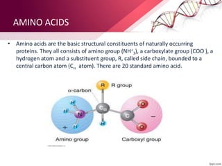 AMINO ACIDS
• Amino acids are the basic structural constituents of naturally occurring
proteins. They all consists of amino group (NH+
3), a carboxylate group (COO-), a
hydrogen atom and a substituent group, R, called side chain, bounded to a
central carbon atom (C atom). There are 20 standard amino acid.
 