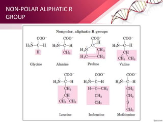 NON-POLAR ALIPHATIC R
GROUP
 
