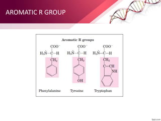 AROMATIC R GROUP
 