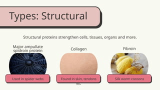 Spider Roteils Proteins Presentation in Cream and Pink Simple Style.pptx
