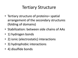 Tertiary Structure
• Tertiary structure of proteins= spatial
arrangement of the secondary structures
(folding of domains)
• Stabilization: between side chains of AAs
• 1) hydrogen bonds
• 2) ionic (electrostatic) interactions
• 3) hydrophobic interactions
• 4) disulfide bonds
 