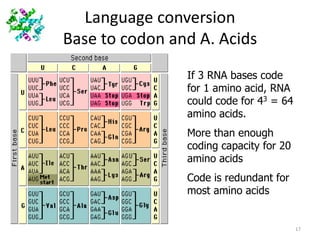 Proteins structure and role in gene expression | PPTX